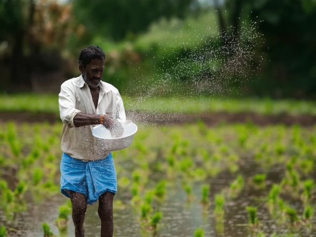 PM Kisan 20th Installment: ఆగస్టు 2న రైతుల ఖాతాల్లోకి రూ.2000 – పూర్తి వివరాలు ఇవే!